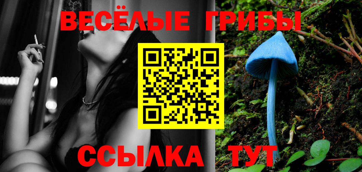 Минусинск  купить наркотик  Вход с VPN  Псилоцибиновые грибы мицелий 