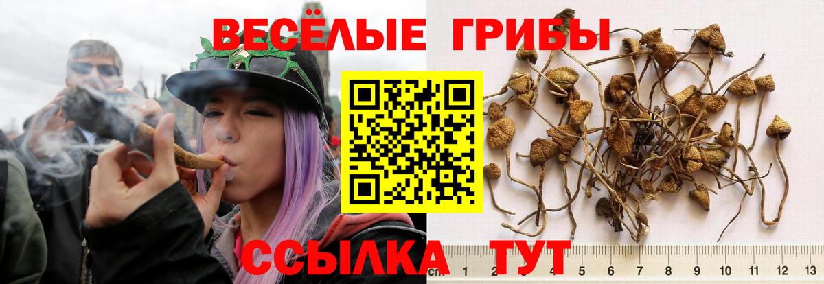 Псилоцибиновые грибы Magic Shrooms Минусинск